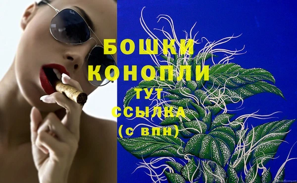 гидропоника Алексеевка