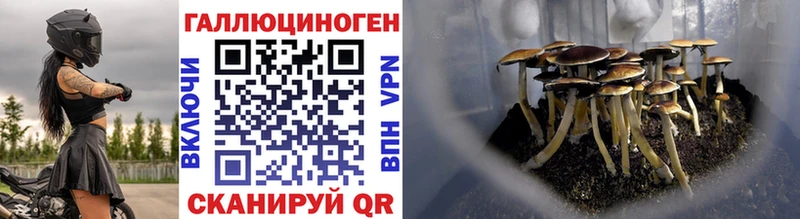 Галлюциногенные грибы GOLDEN TEACHER  купить наркоту  Саранск 